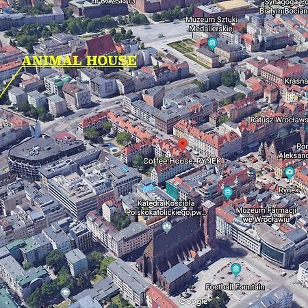 Animal House - Stayinwroclaw Ngoại thất bức ảnh