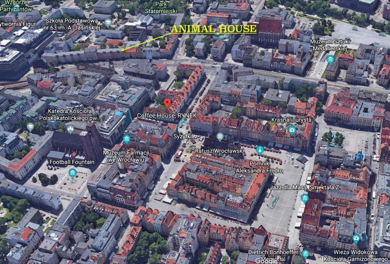 Animal House - Stayinwroclaw Ngoại thất bức ảnh