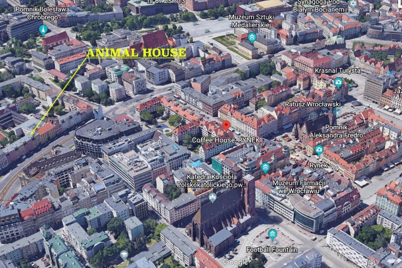 Animal House - Stayinwroclaw Ngoại thất bức ảnh